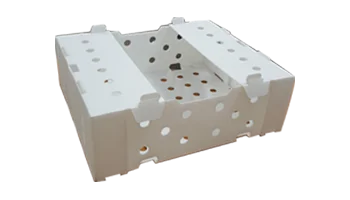 Caption Fruit/Vegetable Box