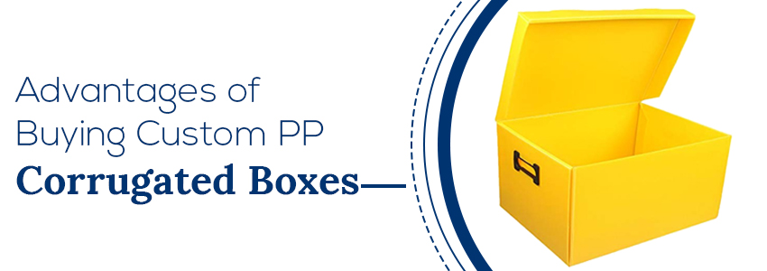 Advantages of Buying custom PP Corrugated Boxes